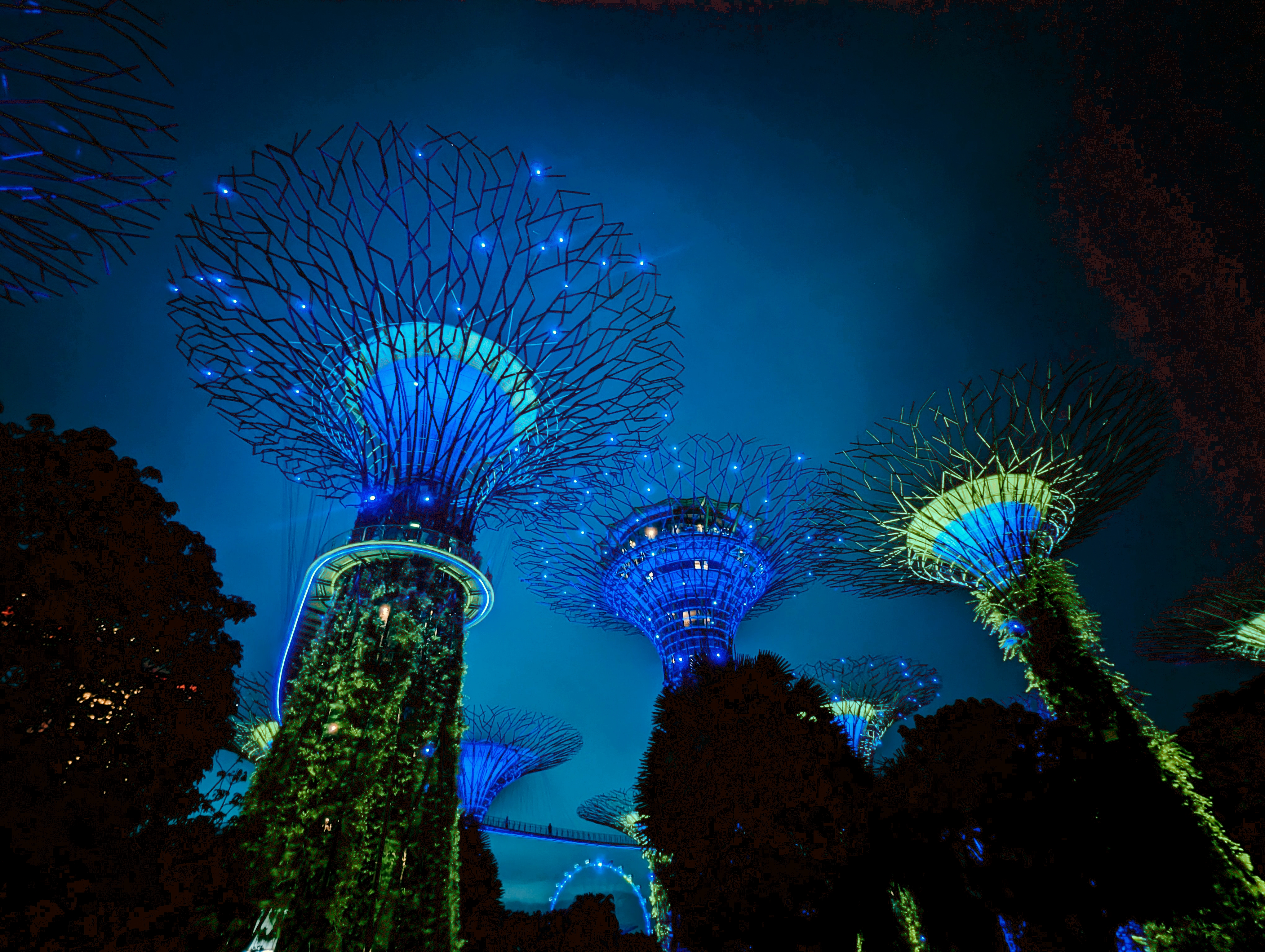 Gardens by the bay