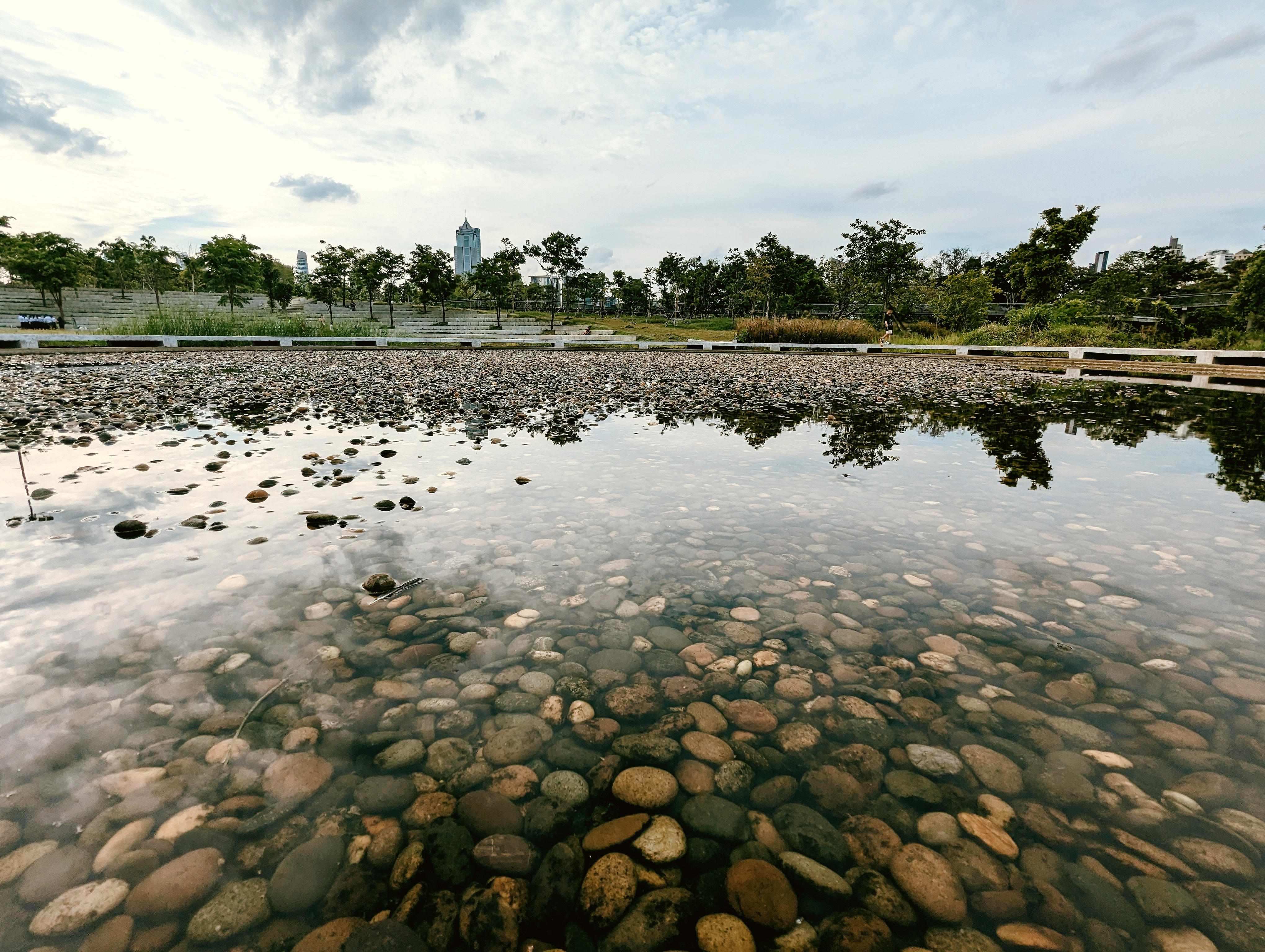 Benjakitti park's swamp